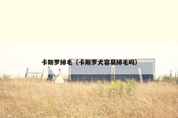 卡斯罗掉毛（卡斯罗犬容易掉毛吗）