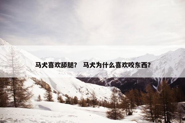 马犬喜欢舔腿？ 马犬为什么喜欢咬东西？
