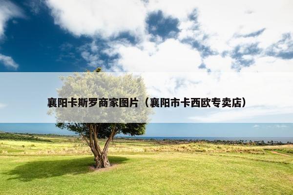 襄阳卡斯罗商家图片（襄阳市卡西欧专卖店）
