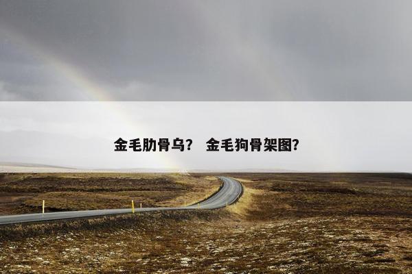 金毛肋骨乌？ 金毛狗骨架图？