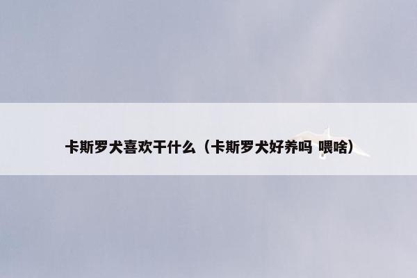卡斯罗犬喜欢干什么（卡斯罗犬好养吗 喂啥）