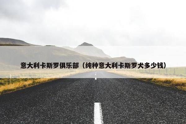 意大利卡斯罗俱乐部（纯种意大利卡斯罗犬多少钱）