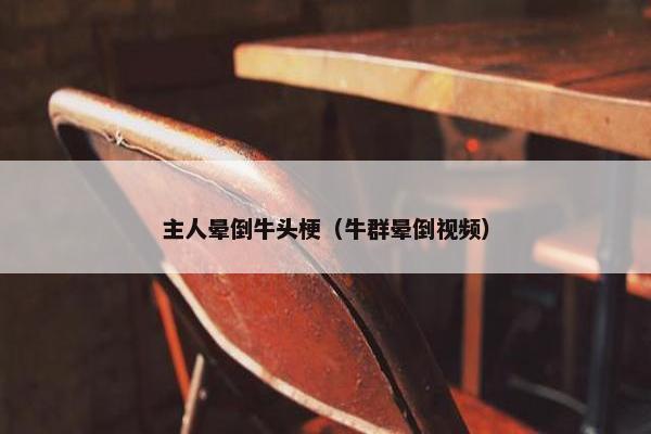 主人晕倒牛头梗（牛群晕倒视频）
