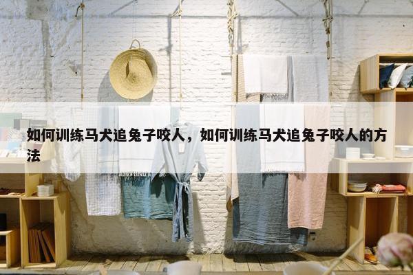如何训练马犬追兔子咬人，如何训练马犬追兔子咬人的方法