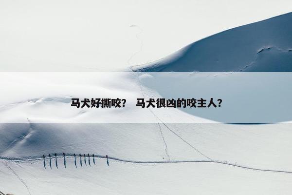 马犬好撕咬？ 马犬很凶的咬主人？