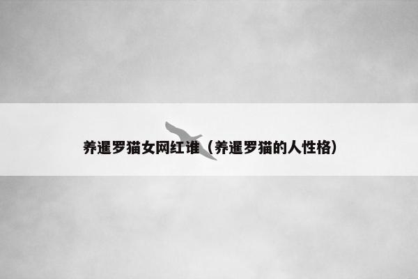 养暹罗猫女网红谁（养暹罗猫的人性格）