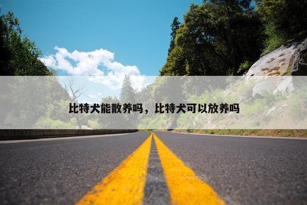 比特犬能散养吗，比特犬可以放养吗
