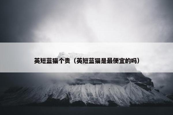 英短蓝猫个贵（英短蓝猫是最便宜的吗）